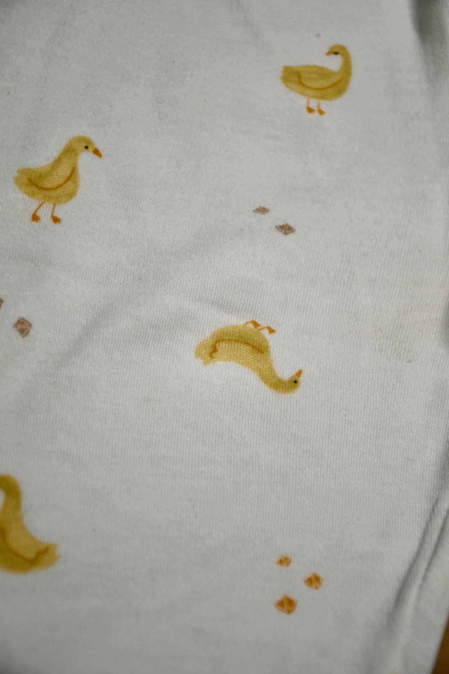 Golden Duck Co-ord Set